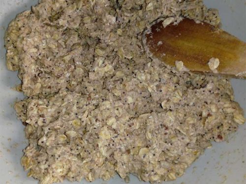 piccoli tranci all'avena impasto