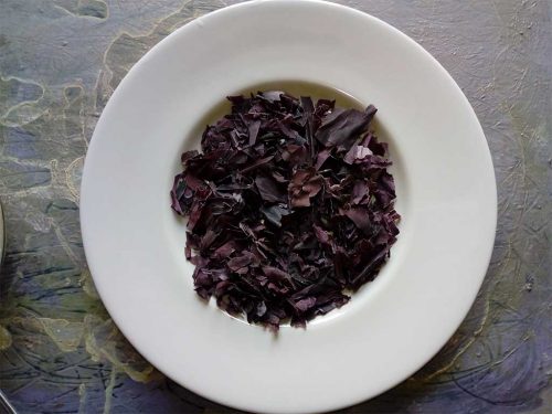 carbonara di mare alga dulse