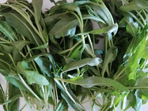 pasta patate e rucola la rucola lavata