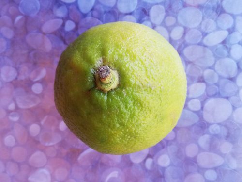 alici marinate il bergamotto